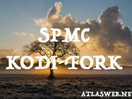 Comment installer SPMC gestionnaire multimédia alternative à Kodi.