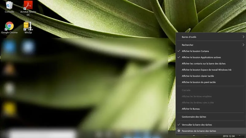 windows icone