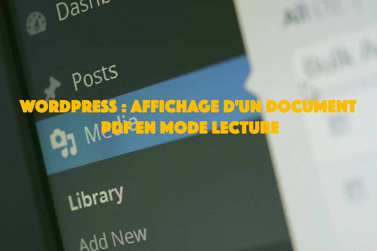 document PDF en mode lecture