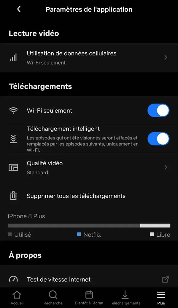 Netflix : télécharger des séries télé et des films