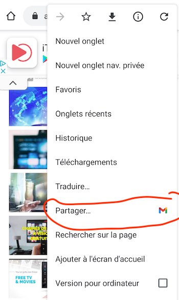 google chrome flag partage